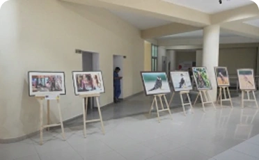 Bachelor of Design (Hons)